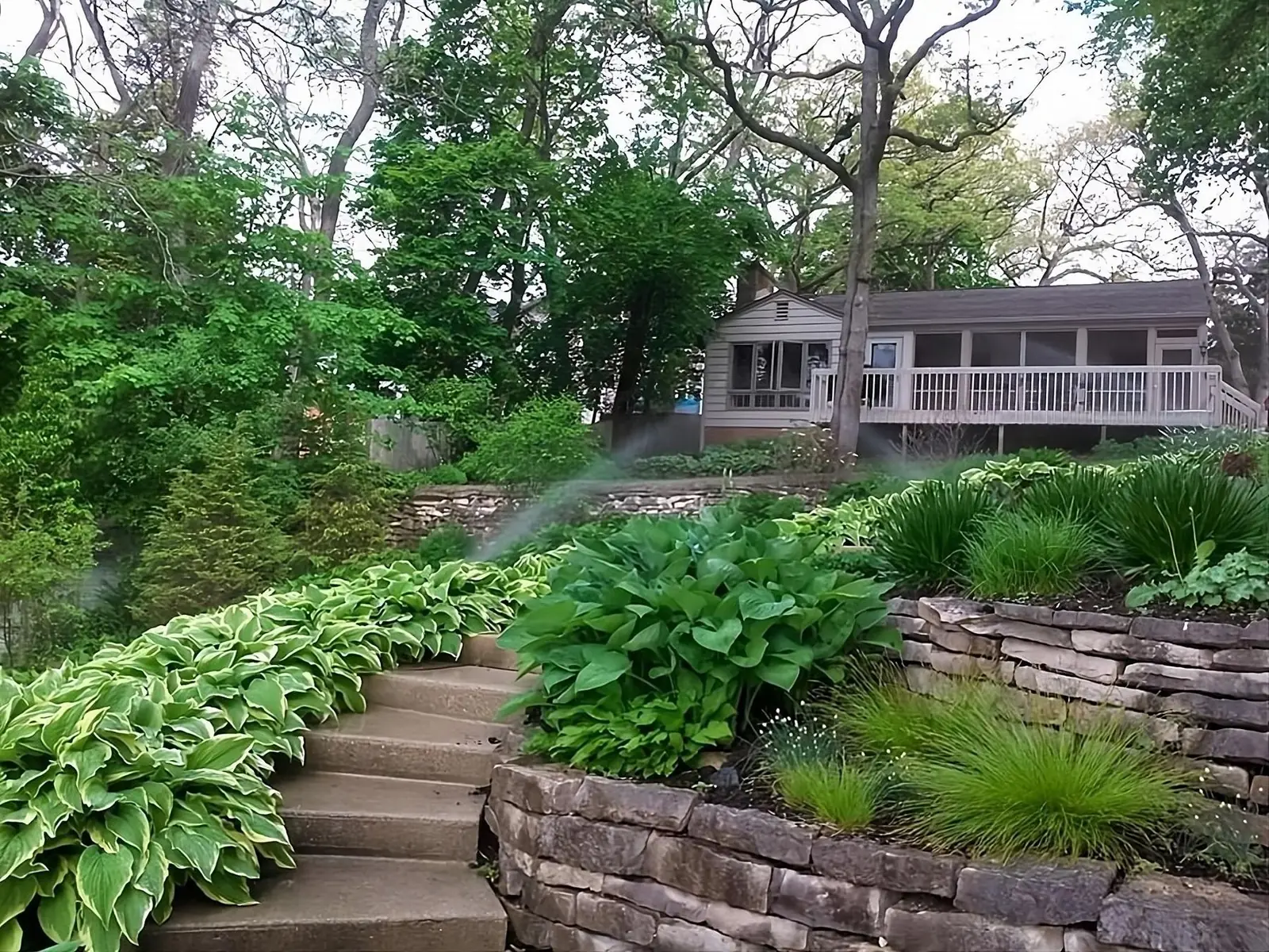 Irrigation system watering a landscaped backyard