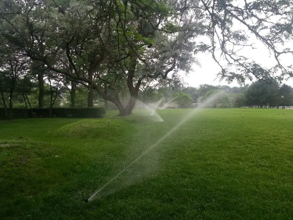 Sprinklers watering a large green lawn